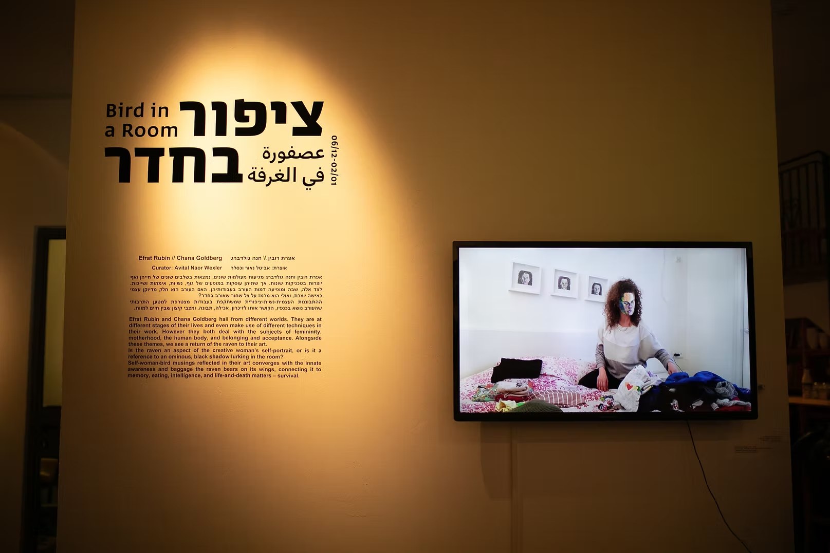 A Bird In A Room — installation view IV