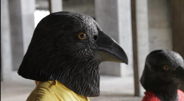 Crows
